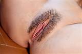 Wife Neatly Trimmed Pussy Lips 15 Hairy Pussy Wet Trimmed Bush Open