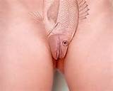 Pussy Fish Pics