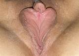 0000 JPG In Gallery Different Shapes Of Pussy 12 Picture 1