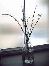 Pussy Willow Decor DIY Holiday S Pinterest