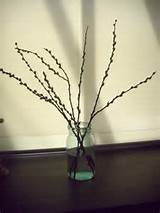 Pussy Willow Decor Flowers Glass Pinterest