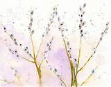 Pussy Willow Wall Decor Nature Art Original Watercolor Painting 10x8