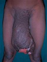 Thanks To Will C For Submitting This To Mr Phucked