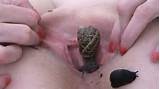 Free Porn Pics Of Snails And Worms In Mature Pussy 8 Of 10 Pics