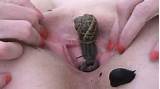 Snails And Worms In Mature Pussy Fetish Porn Pic Fetish Porn Pic