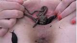 Snails And Worms In Mature Pussy Fetish Porn Pic Fetish Porn Pic