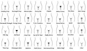 Massive Chart Of Pubic Styles