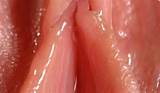 Wet Pussy Close Up Porn HD Wallpaper