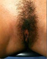 Different Types Of Hairy Ass Pussy Sex Porn Images