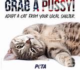 Of Donald Trump With New Grab A Pussy Campaign NY Daily News
