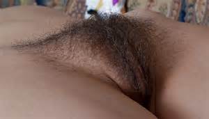 Unshaved Pussy Hairy Pussy