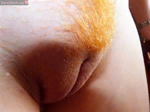 Close Up Ginger Pussy Lips Hairy Mound Pussy Pictures Asses