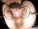 Hairy Pierced Pussylips Hairy Porn Pic