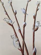 Pussy Willow Illustration By Unknown Artist Held At The Pringle