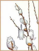 Pussy Willows Willows Pinterest