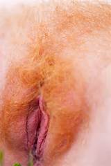 Blonde Hairy Pussy Unshaven Pussy