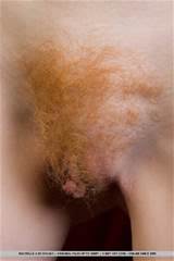 Lovely Hairy Women Vulvabelulva Ginger Minge