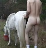 Fucks Mare Pussy 13 Guy Fucks Mare Pussy 14 Guy Fucks Mare Pussy 16