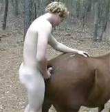 Men Fucking The Mare 15 Mare Bestiality Rim And Fuck June Nude Porn