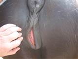 Wet Pussy Juice Dripp Wet Pussy Close Up Naked Girls