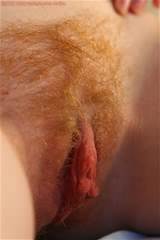 Labia Meaty Pussy Natural Onlyhairypussy Pussy Shot Redhead 7 Jpg