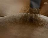 Up Pubic Hair Close Up Pussy Hair Landing Strip Pubic Hair Forest
