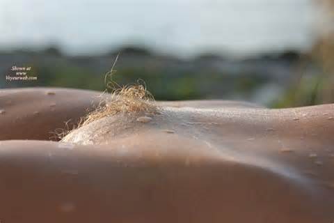 Wet Pussy Shaved Mound Pussy Close Up Long Blonde Pubic Hair Wet