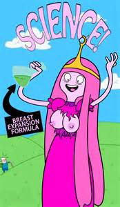 Adventure Time Princess Bubblegum Bbg 468877 Adventure Time Chunk