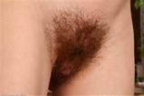 The Largest Collection Of Hairy Pussy Teens From ATK Hairy Here