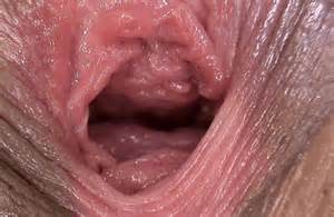 Here Is A Close Up Of Inside A Pink Vagina Pussy Gif Squeezing