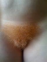 Ginger Bush Redheads With Hairy Pussies 4 6 Of 49 Pics