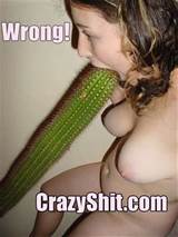 Cactus Blowjob Crazyshit Com