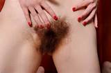 Over 1300 Natural And Hairy Models Waiting For You Inside