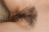 Male Teens Hairy Hairy Pussy Farts