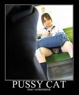 Pussy Cat