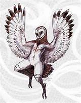 Rule 34 Avian Breasts Female Nude Owl Pussy Solo Tevionbee 1047155