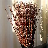 Pussy Willow Branches 2 3 220 Branches