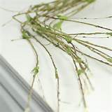 Artificial Pussy Willow Stem