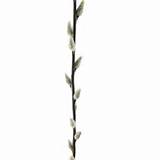 Adorn Your Arrangement Or Occasion With A Pussy Willow Stem