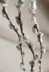Artificial Pussy Willow Branch 30in