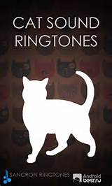 Cat Sound Ringtones Androidbest Ru