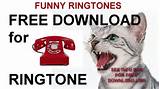 Funny Ringtones ANGRY CAT FREE Ringtone YouTube