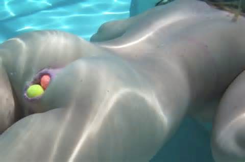 Insertion Huge Dildos Anal Gaping Underwater Anal Insertion Release